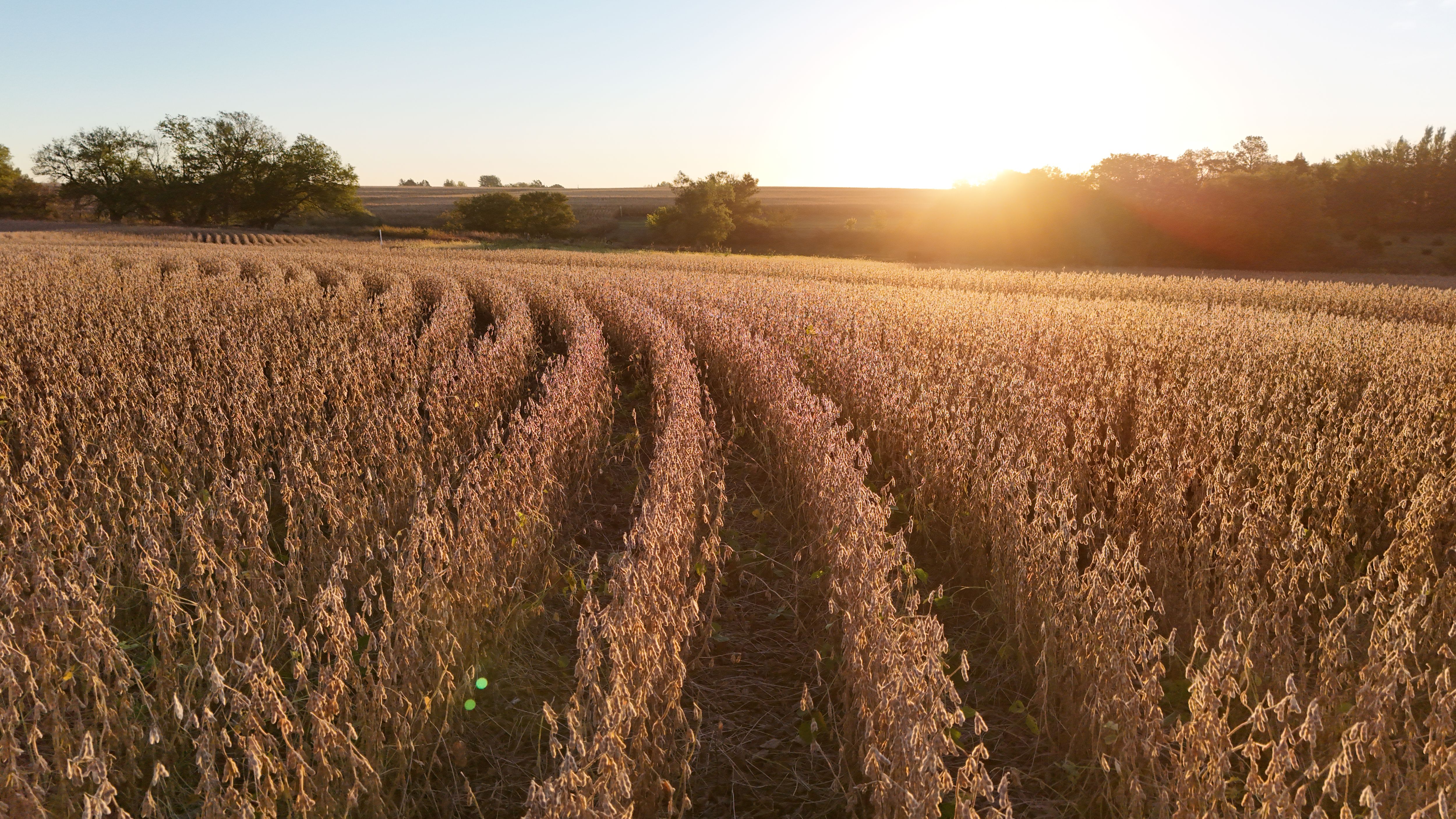 Listing Photo: lancaster-county-ne-125-acres (4)